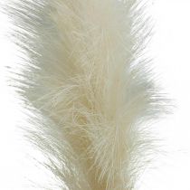Federgras Creme Chinaschilf Künstliche Trockengräser 100cm 3St