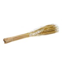 Artikel Trockenpflanze Schilfkolben Mix Gelb 130 cm 100 Stück