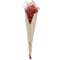 Artikel Schleierkraut Gypsophila getrocknet Rot 55g 50cm