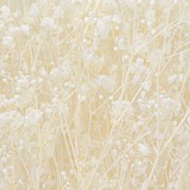 Artikel Schleierkraut Weiß Trockengräser Deko Creme 65-70cm 100g