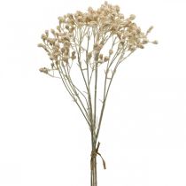 Artikel Künstliches Schleierkraut Creme Gypsophila 46cm Bund à 3St