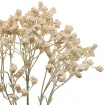 Artikel Künstliches Schleierkraut Creme Gypsophila 46cm Bund à 3St