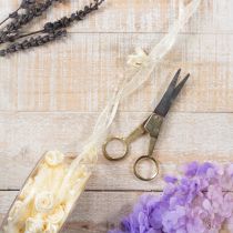 Artikel Schleifenband mit Rosen und Perlen Creme 15mm 5m Polyester