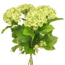 Artikel Schneeball Kunstblumen Viburnum künstlich Grün 61cm 4 St