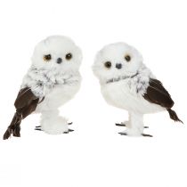 Artikel Schneeeule Deko Figur Eulen Paar Weiß Braun H12cm 4 St