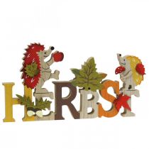 Schriftzug Herbst Aufsteller Holz Deko Igel und Pilz 27×14,5cm