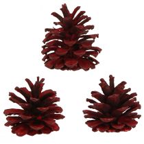 Artikel Schwarzkiefernzapfen Bordeaux Rot 6–8 cm 6 Stück