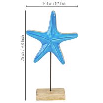 Artikel Seestern-Deko aus Mangoholz auf Sockel, blau, H 25 cm