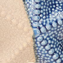 Artikel Seestern Porzellan Sand Blau Tischdeko Maritim Ø15cm 2St