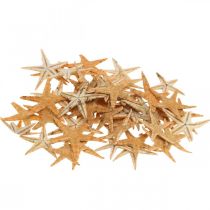 Artikel Seesterne Streudeko Home Deko, Natur, Starfish Mini 2-4cm 50St
