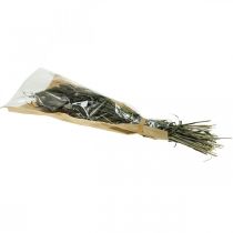 Artikel Trockenblumen Setaria Anthrazit Natur Borstenhirse Bund 100g