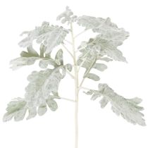 Artikel Künstlicher Senecio-Zweig Greiskraut 45cm 3 Stück in Silbergrau