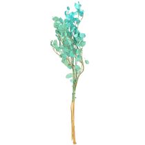 Artikel Silberblatt Trockenblume Lunaria Blau 65-70cm 20g