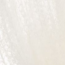 Artikel Trockenblumen Silbergras Weiß 70cm 10 Stück Dekoration