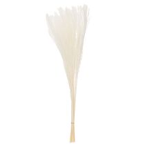 Artikel Trockenblumen Silbergras Weiß 70cm 10 Stück Dekoration