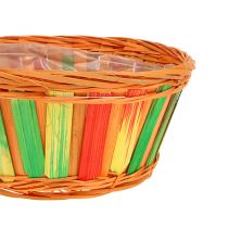 Artikel Spanschale rund mehrfarbig Ø 20cm  12 St