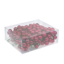 Artikel Spiegelbeeren Rot Mix Ø25mm 140 St