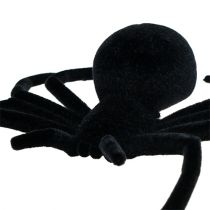 Spinne Schwarz 16cm beflockt