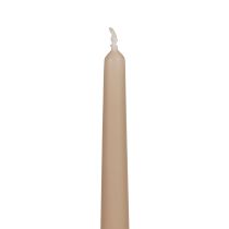 Artikel Spitzkerzen Stabkerzen Wenzel Kerzen Beige 250/23mm 12 St