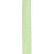 Artikel Stabkerzen durchgefärbt Lime Grün​​​​​​​ 21×240mm 12 St