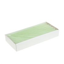 Artikel Stabkerzen durchgefärbt Lime Grün​​​​​​​ 21×240mm 12 St