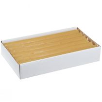 Artikel Stabkerzen durchgefärbt Kerzen Honig 21×240mm 12 St
