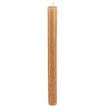 Artikel Stabkerzen durchgefärbt Kerzen Karamell 21×240mm 12 St