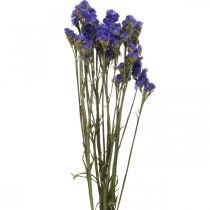 Artikel Strandflieder im Bund, Trockenblumen, Meerlavendel, Statice Tatarica Blau L46–57cm 23g