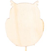 Artikel Pflanzenstecker Holz-Eule 31cm 12 Stück, farbig sortiert