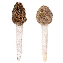 Artikel Künstlicher Deko-Morchel-Pilz aus Keramik, 13cm, Braun, 2er-Set