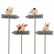 Stecker mit Spruch „Viel Glück“ 5cm x 7cm L23cm 12St
