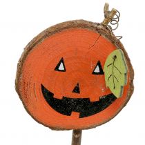 Stecker Kürbis  Natur, Orange 8cm 12St