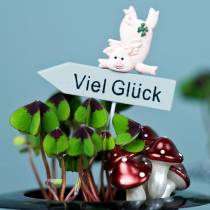 Stecker mit Spruch „Viel Glück“ 5cm x 7cm L23cm 12St
