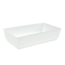 Artikel Steckschale Lara 15cm x 8cm x 4cm 10St