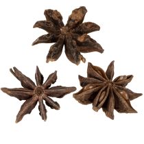 Artikel Getrockneter Sternanis für Dekoration und Bastelarbeiten 500g