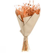 Artikel Trockenblumenstrauß Naturmaterial Orange Apricot 45cm 80g