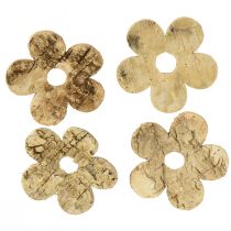 Artikel Streudeko Holz Rinde Blumen Birke Vintage Ø5cm 36 St
