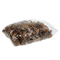 Artikel Strobus Zapfen 10-15cm lackiert 100 St