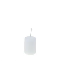 Artikel Stumpenkerzen Weiß Adventskerzen klein Kerzen 60/40mm 24 St