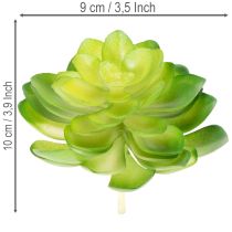 Artikel Künstliche Sukkulenten grün 10 cm, 4 Stück, Dekoration für Schale oder Vase