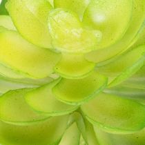 Artikel Künstliche Sukkulenten grün 10 cm, 4 Stück, Dekoration für Schale oder Vase