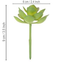 Artikel Künstliche Sukkulente grün, Kunststoff, 9 cm Höhe