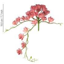 Artikel Sukkulente künstlich 28 Rosetten Aeonium Altrosa 43cm