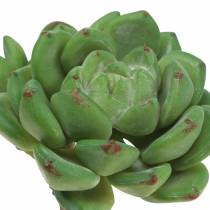 Sukkulente Echeveria künstlich Grün H15cm