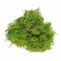 Artikel Tamarind Fibre Hellgrün Naturfaser zum Basteln und Dekorieren 500g