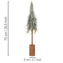 Artikel Tanne künstlich mit Schneeoptik auf Holzsockel 75cm für Winter- und Weihnachtsdeko