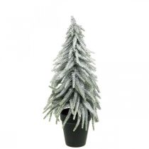 Deko-Tanne mit Schnee, Adventsdeko, Tannenbaum im Topf H37cm