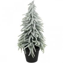 Winter-Tanne im Topf, Weihnachtsdeko, Tannenbaum mit Schnee H45cm