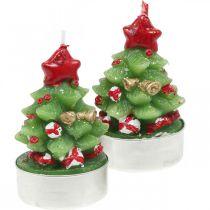Teelichter Weihnachten Teelicht Tannenbaum H6,5cm 6St