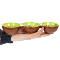 Artikel Keramikschale dreigeteilt Kiwi-Motiv 30 cm Braun-Grün
